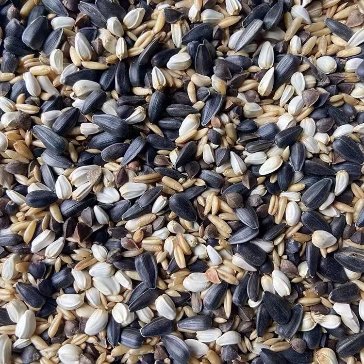 Средний и большой домашний смешанный маленький солнце золотой солнце монах Ариэль фей серый попугай эклектичный корм для подсолнечника корм для птиц