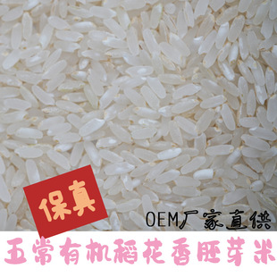 �峣�����ЙC������2̖��ѿ���L���׏S���������ЙC�����