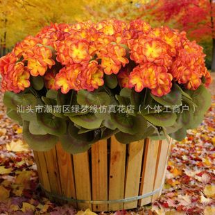 �羳 ���R�d���N ���溣�Ļ��ٻ��Ҿӿ͏d���ÿ��z��