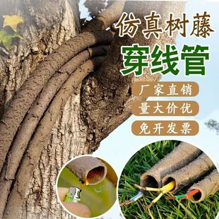 ���ٴ����ܘ�Ƥ����|늾����o�ܿ��İ�������������늾����o