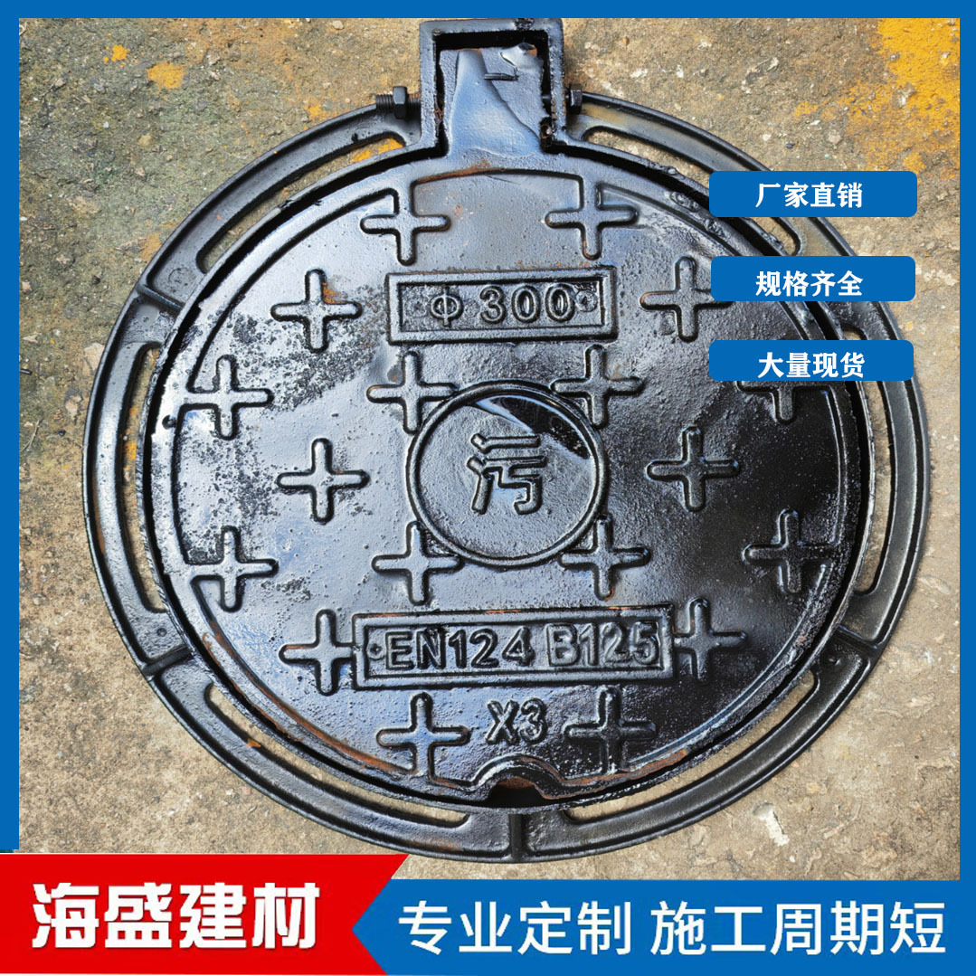球墨铸铁化粪池井盖 污水井盖 圆300铸铁井盖 防臭密封铸铁小井盖