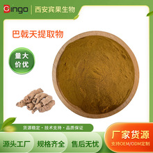 巴戟天提取物比例提取浓缩粉 巴戟天粉浸膏粉食品级原料厂家包邮