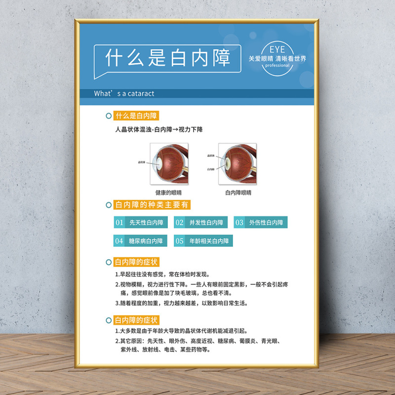 眼鏡店の壁面装飾画眼科病院は目の構造を描いています。|undefined