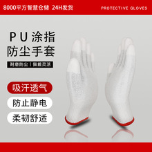 HPPE5иpuTָĥיCеиIڱ