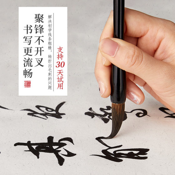 Liu Pin Tang Brush Wolf Hao Beginners Children's Cursive Writing Primary School Students Brush Chinese Painting Chinese Painting Practice Four Treasures of the Study