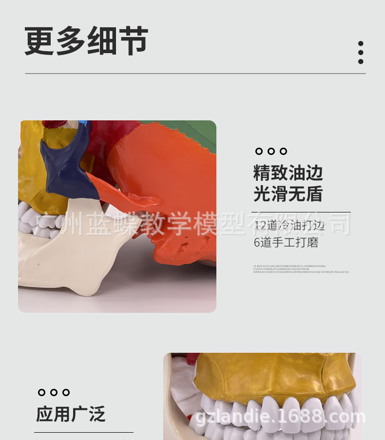 彩色头骨-详情页_09