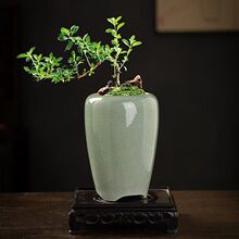 �͹��m�������մɸ�G���ø߿��������������С�ڏ���������