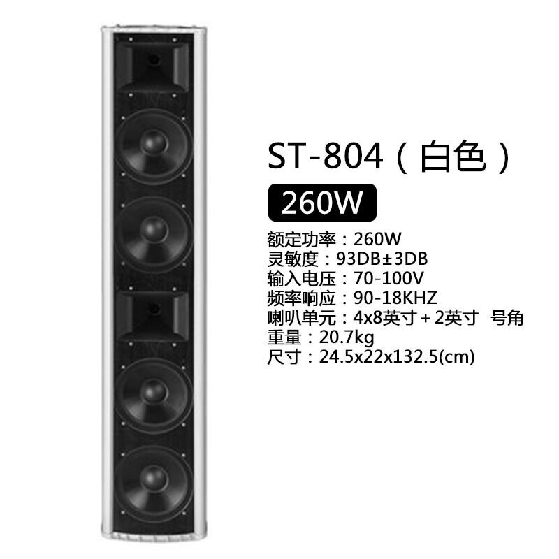 Sast Home Karaoke Audio System Set, Square Dance Audio System with Display Screen, All-In-One Karaoke Machine