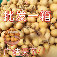 ���J����������С���J���lС���ְѼ���Ȼ���J������l