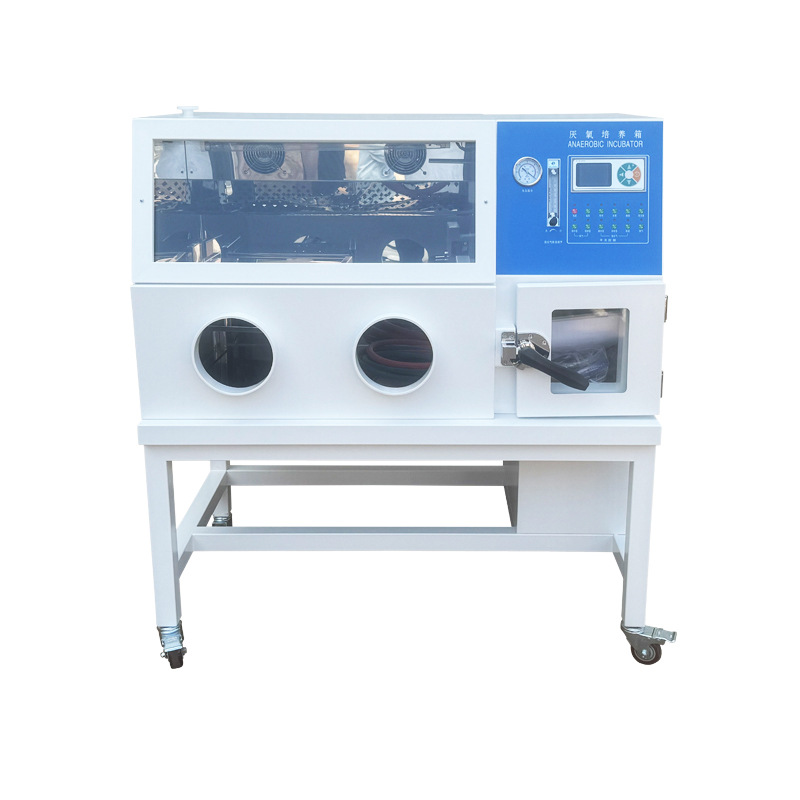 YQX-II厌氧培养箱 无氧培养箱实验 微量氧手套箱 手套恒温培养箱