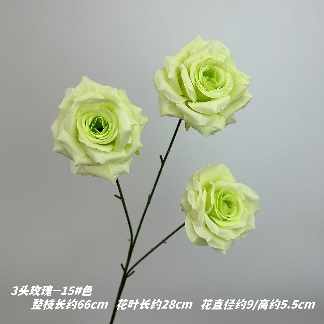 15 # 색상