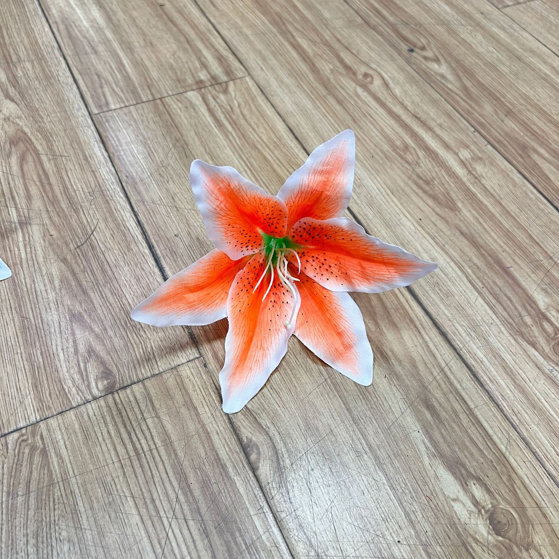 오렌지 (코어가 완료되지 않음)