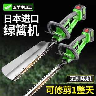 Imported Electric Hedge Trimmer Rechargeable Landscaping Thick Branch Lithium Battery Tea Tree Pruning Machine Tea Picking Artifact