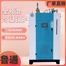 蒸汽发生器;燃气锅炉;燃生物质锅炉