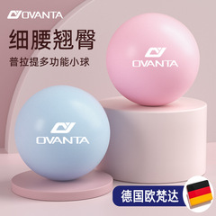 普拉提瑜伽球麦管球25cm平衡健身球体操球儿童孕妇pvc瑜伽小球