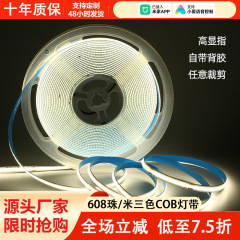 cob三色灯带智能语音双色无极调光客厅双眼皮线形灯适用米家app