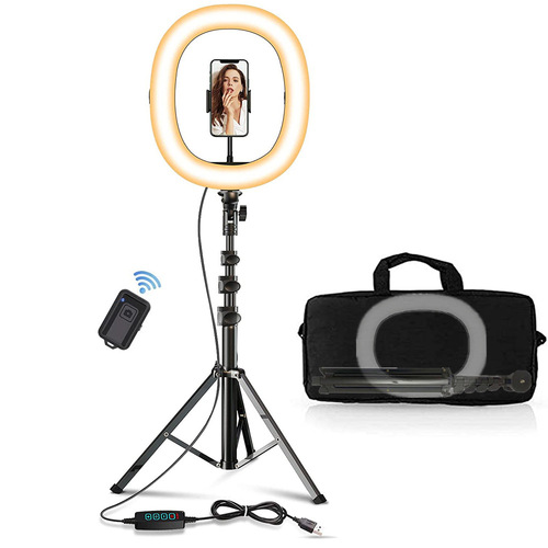 Foldable Influencer Live Stream Fill Light LED Beauty Phone Selfie Lamp Ring Light, 10-Inch Circular Light