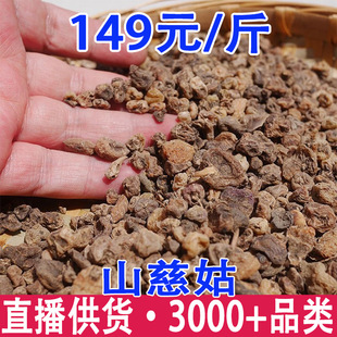 ��؛���lɽ�ȹ� ɽ�Ĺ� �ȹ� ë�ȹ� ��ʵ� �A��ܸ