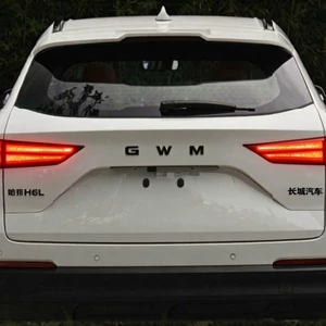 Haval H6L Qara Döyüşçü Fərdi Metal Arxa Loqo Dəyişikliyi