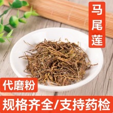 RβB ș RβSB Rβɏ SBzRβɏ ɲ ĥ