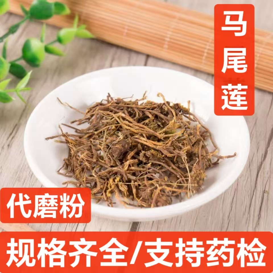 马尾连 中药材 马尾黄连 马尾莲草 黄连金丝马尾莲 唐松草 代磨粉