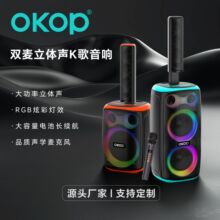8008/9������������120W����˫��˷�K���Я�����ͥ�ۻ�����