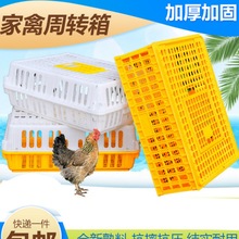 鸡笼周转箱鸡用运输筐鸡鸭鸽子运输笼雏鸡运输箱兽用养鸡设备用品