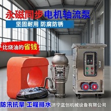 永磁防汛泵变频轻便型潜水泵应急轴流水泵大流量不锈钢防洪排涝泵