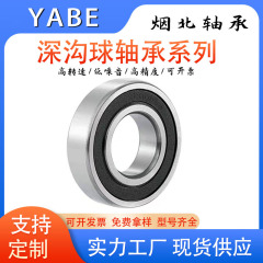 深溝玉軸受大全6200 6201 6202 6203 6204 6205 zz2rs