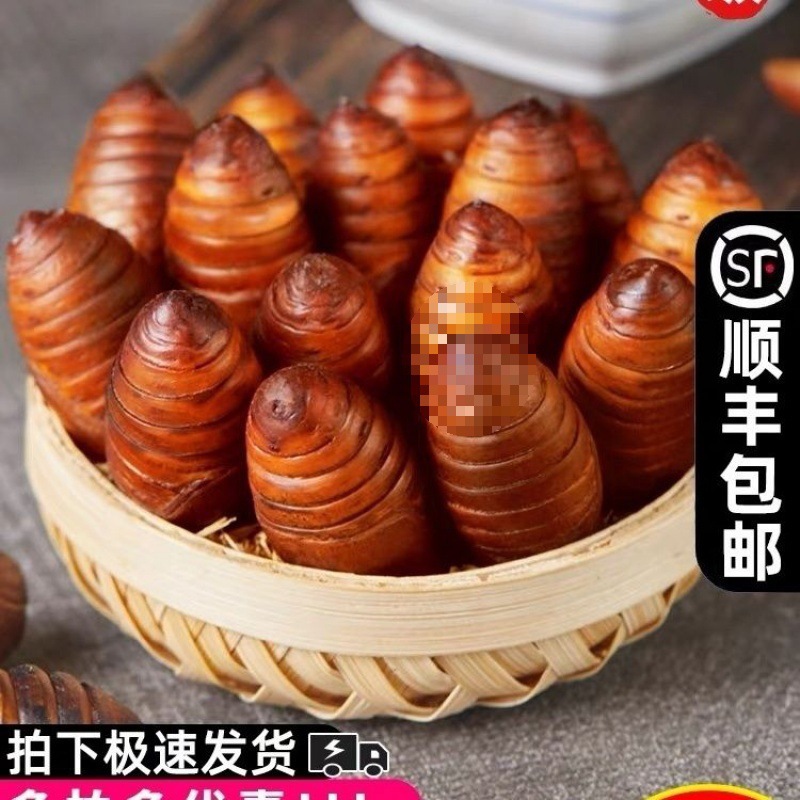 辽宁鲜活柞黑蚕蛹黄蚕蛹新鲜食用黄蝉蛹东北茧蛹批发特产商用家用
