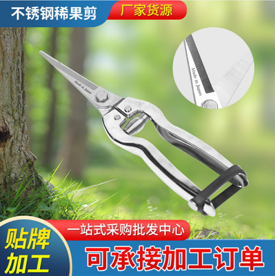 厂家供应不锈钢直头疏花剪 疏果剪 稀果剪 采摘剪 葡萄剪 果把剪