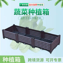种植箱加大加深阳台菜园组合塑料蔬菜箱室内育苗箱种菜箱带托盘