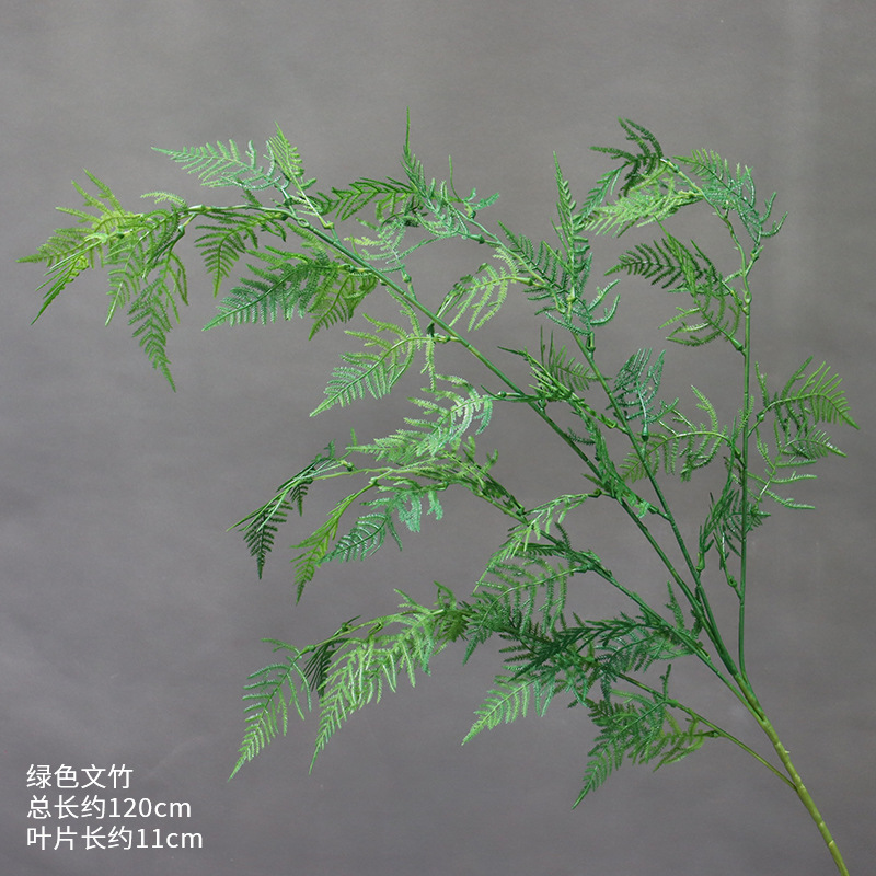 녹색 아스파라거스