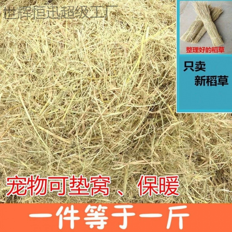 Natural Dry Straw Bedding for Rabbits and Dogs, Suitable for Winter, Made from Rice Straw and Wheat Straw