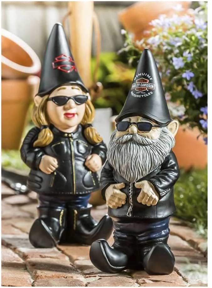 61F4ASebYVL._AC_SL1005_