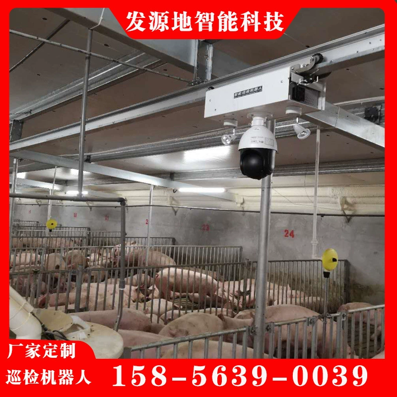 Решение для беспроводной зарядки робота для инспекции свиноферм. Интеллектуальное инфракрасное измерение температуры и оценка веса.