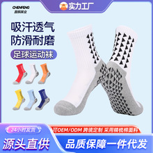 ��Ůʿ�c�z���������m��Ͳ�Ӻ�ë�������������羳���IӖ���\���m