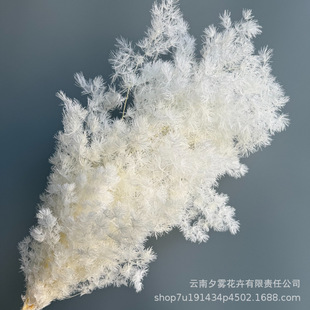 ���ӹ����ơ����R���������}�Q���b��滨�仨�ֹ�DIY�������