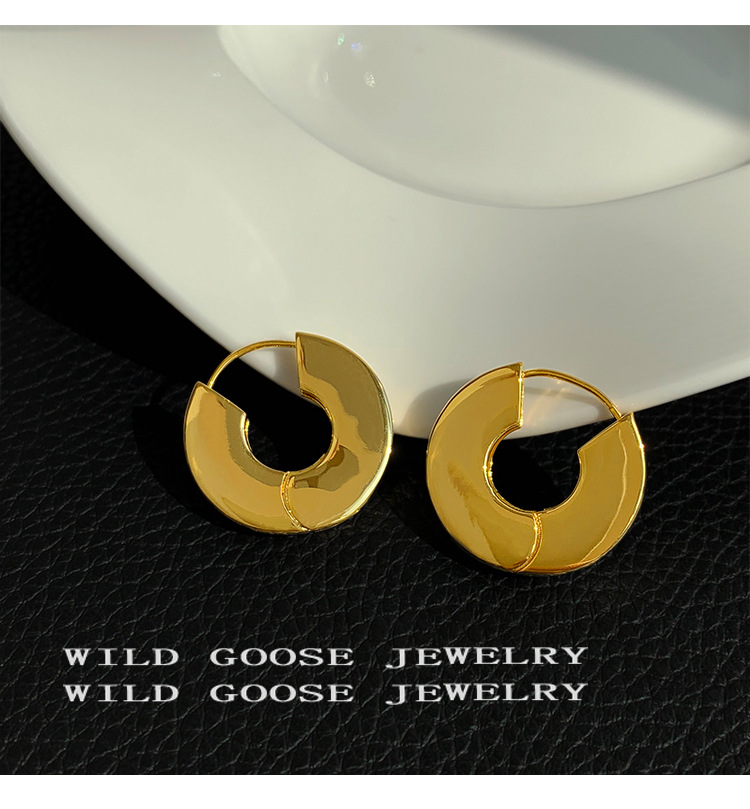 10g Weight Earrings Classification 1 Pair Quantity Daily Occasion Metal Material Geometric Pattern Women'S Gender Plating Design Fashion Style 1 Pair Fashion Geometric Metal Plating Women's Earrings 11