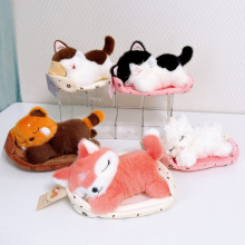 ɳ�l�C�C˯�@С��؈ë�q��ż��������С�����˯؈�䃺ͯ���