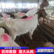 ����ɽ����w�N���Bֳ����ɽ��ɱ� ������ɽ�������в������