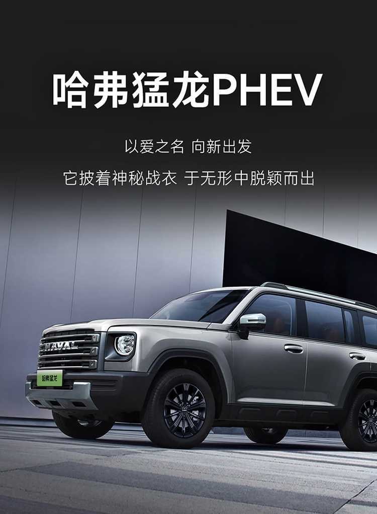 New Special Wear-Resistant Haval Raptor Phev Perforated Leather Car Seat Cushion for All Seasons All-Inclusive Nappa Leather Seat Cover