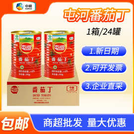 中粮屯河番茄丁调味酱罐头24罐整箱餐饮店批发商用去皮番茄块