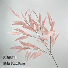 ¿ɫc滨l\ɫYFüٻc·b