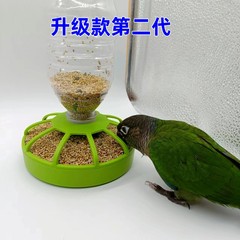 オウムは食箱の鳥類を食べることを学びます。