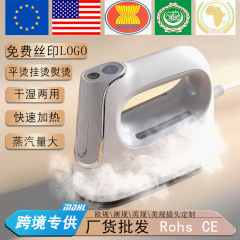 手持挂烫机大蒸汽跨境服装店专用熨烫一体机家用220V多规插头批发