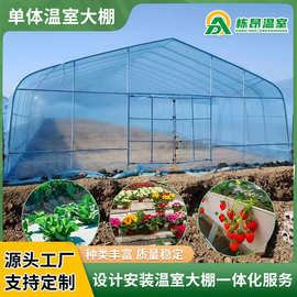 厂家定制单体温室大棚骨架 农作物种植大棚温室保温棚阳光房批发
