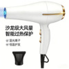 110V跨境2000W欧规3800款白色