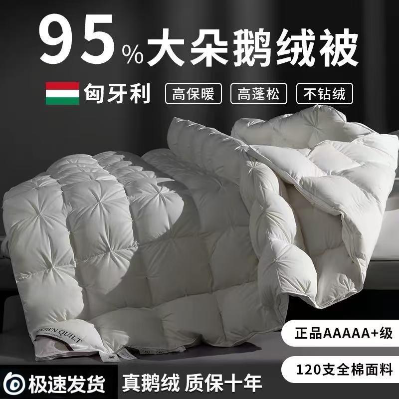 Hungary's new down comforter made of white goose down, suitable for five-star hotels, is a thickened, warm spring/autumn and winter quilt