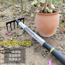 铁耙子赶海耙拾花生工具园艺工具花耙松土翻地拾贝花园种植钢爬子